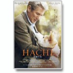 hachiko