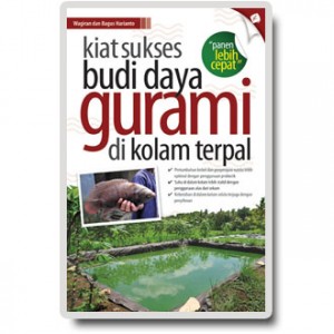 Kiat-Sukses-Budi-Daya-Gurami-di-Kolam-Terpal